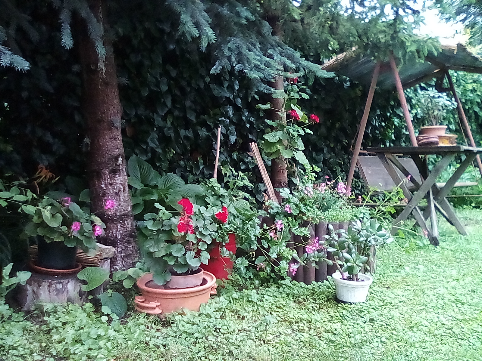 Az kert